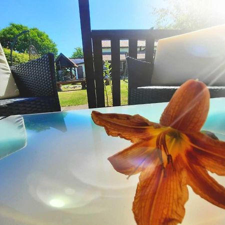 Pokoje Goscinne Ewa Nowicka Frombork Dış mekan fotoğraf