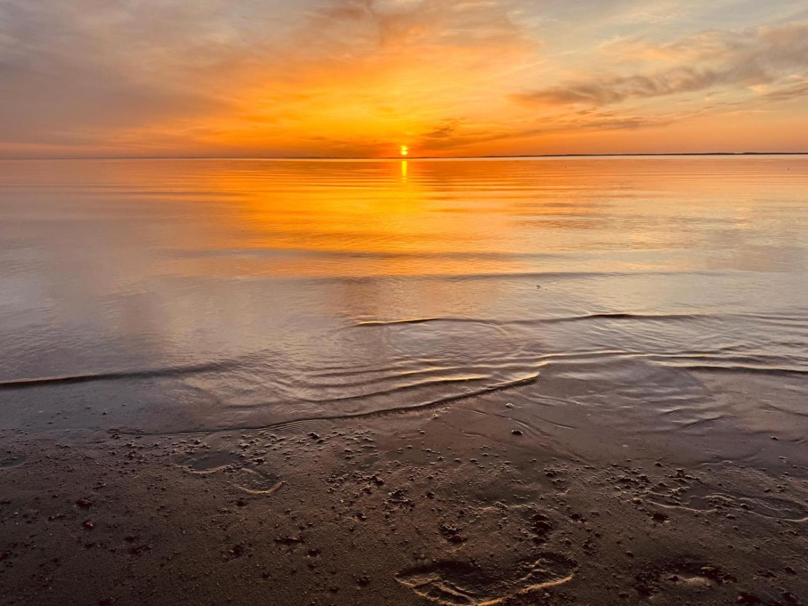 Pokoje Goscinne Ewa Nowicka Frombork Dış mekan fotoğraf