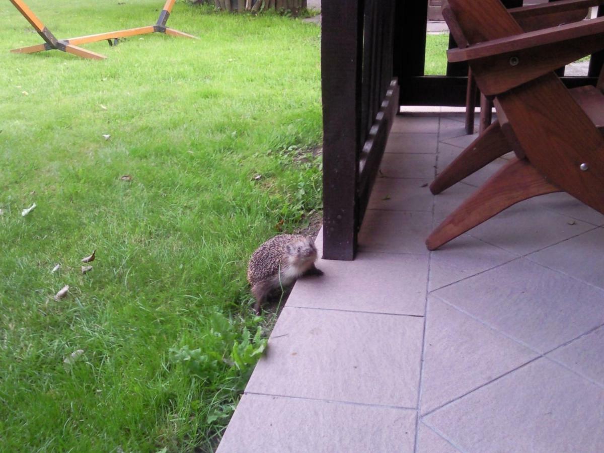 Pokoje Goscinne Ewa Nowicka Frombork Dış mekan fotoğraf